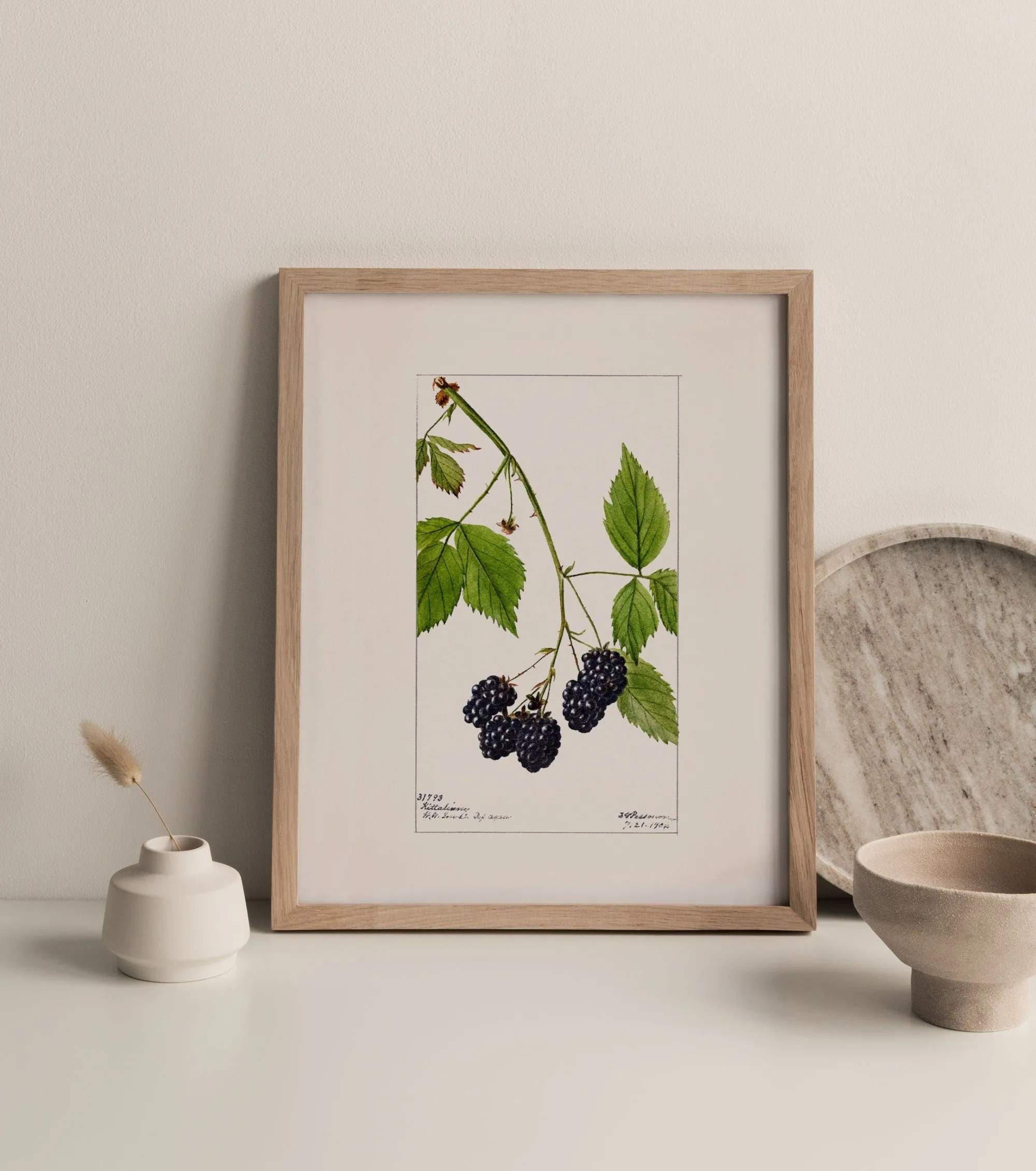 Blackberries Vintage Art