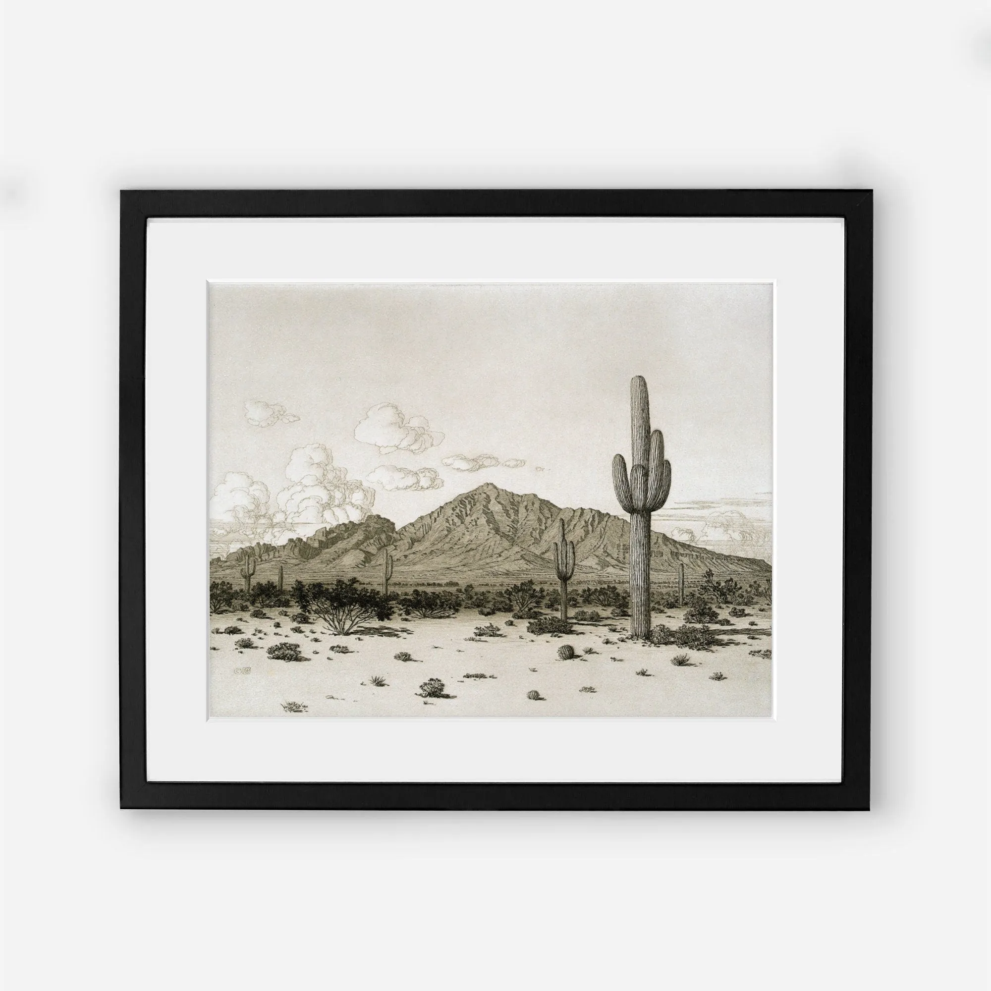 Cactus Southwest Desert Vintage Wall Art