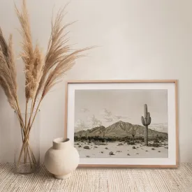 Cactus Southwest Desert Vintage Wall Art