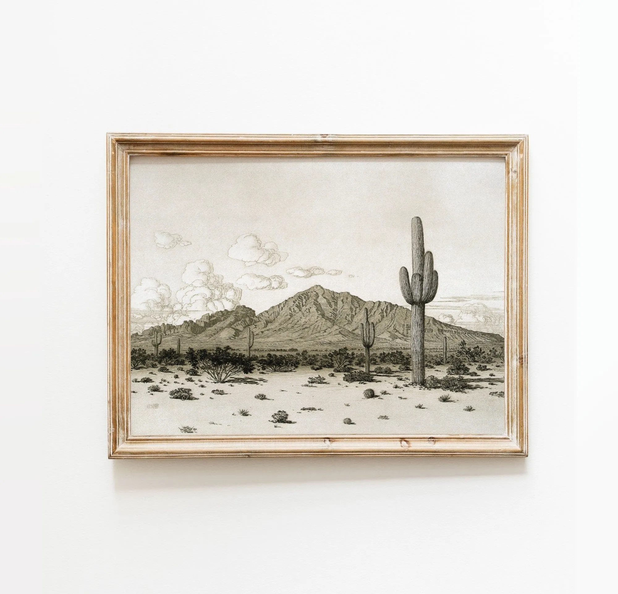 Cactus Southwest Desert Vintage Wall Art