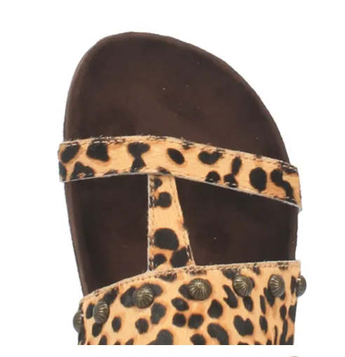 Dingo Women's Sage Brush - Leopard