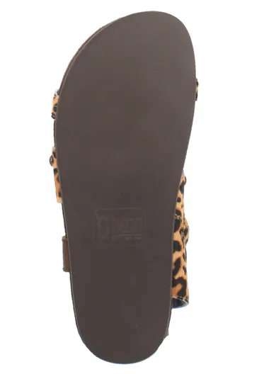 Dingo Women's Sage Brush - Leopard