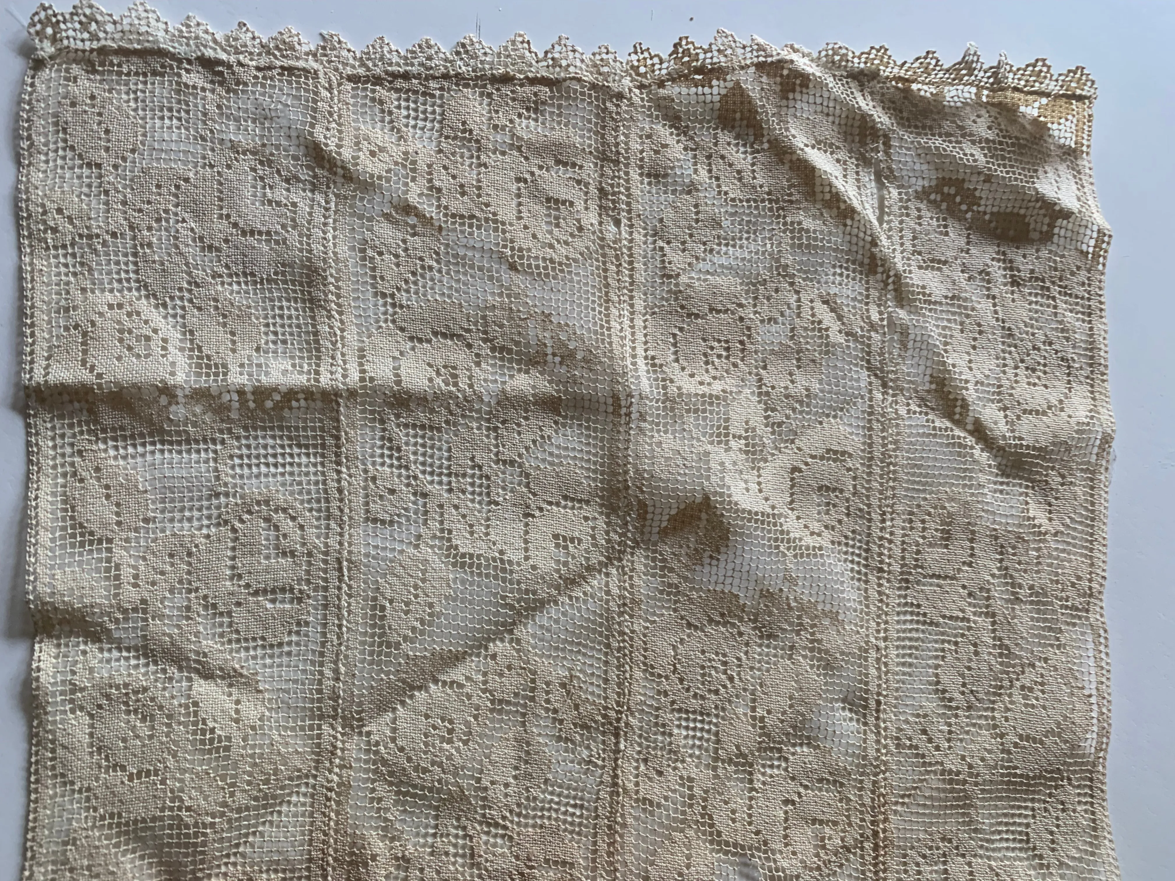 Filet Lace Floral Design Panel 2 circa 1910s