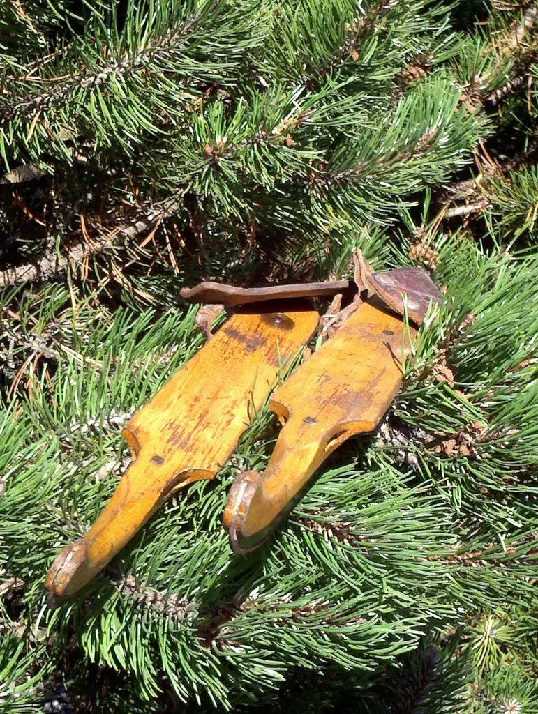 Simple Antique Dutch Ice Skates