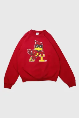 Vintage 1983 Iowa State Mascott Sweatshirt Sz M