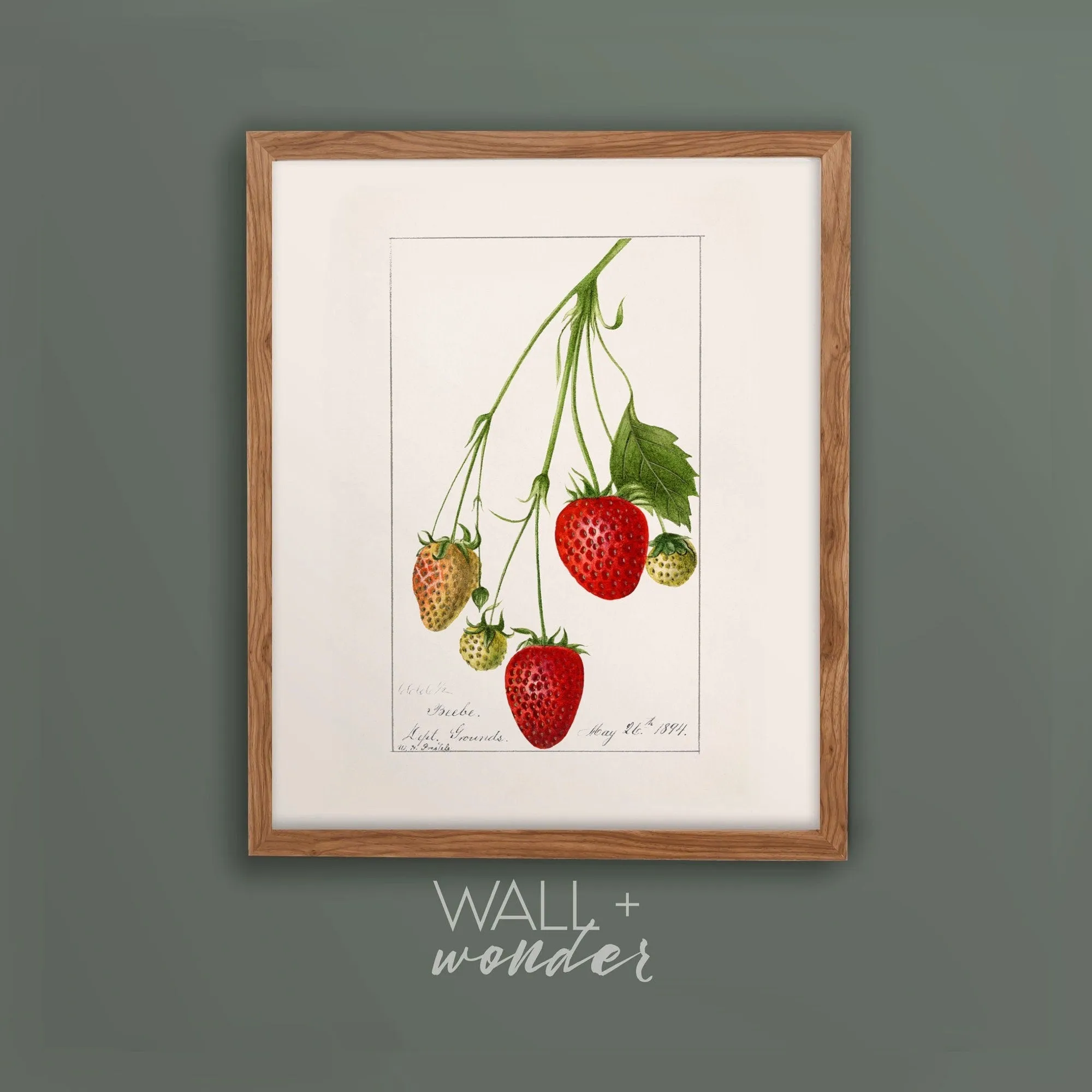 Vintage Strawberry Plant Kitchen Wall Art