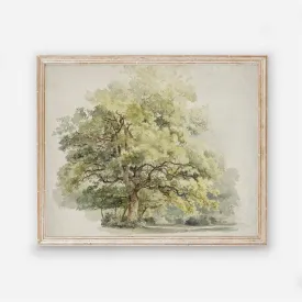 Vintage Tree Wall Art