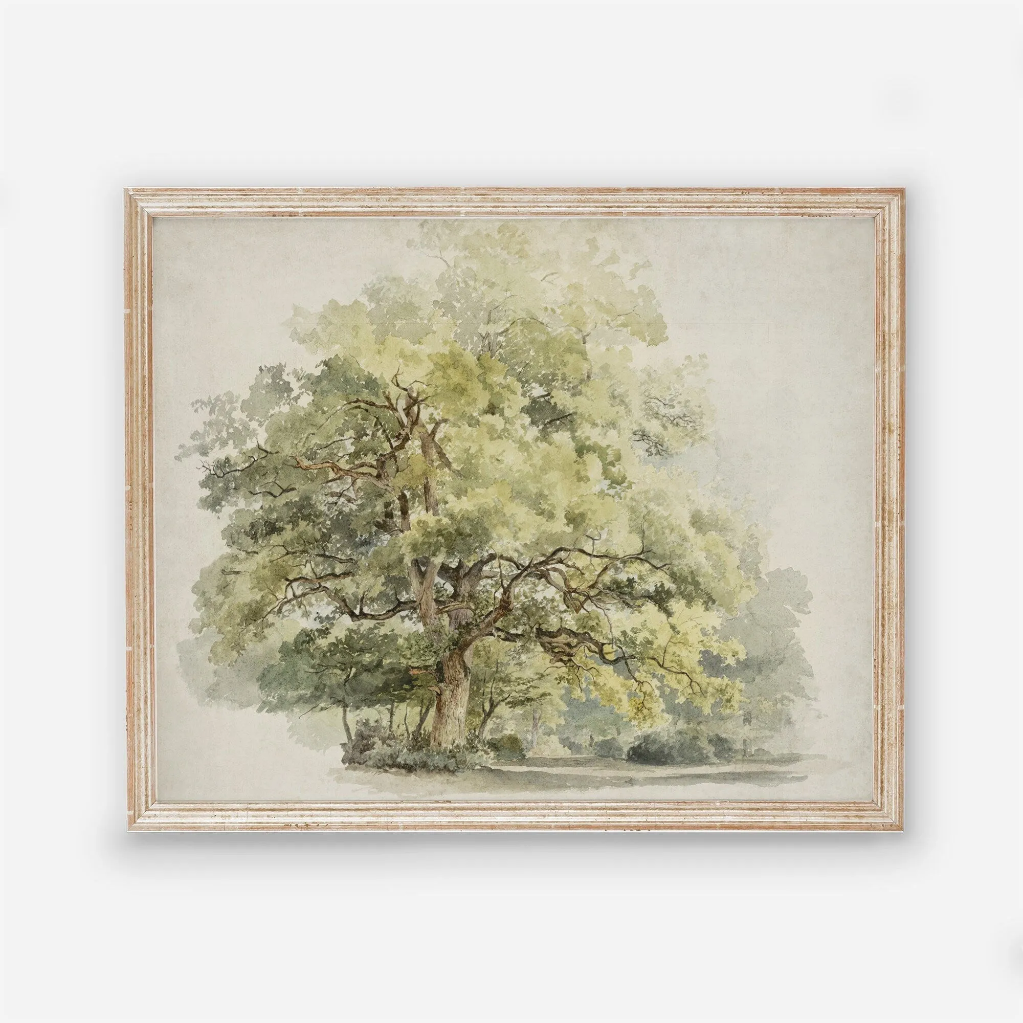 Vintage Tree Wall Art