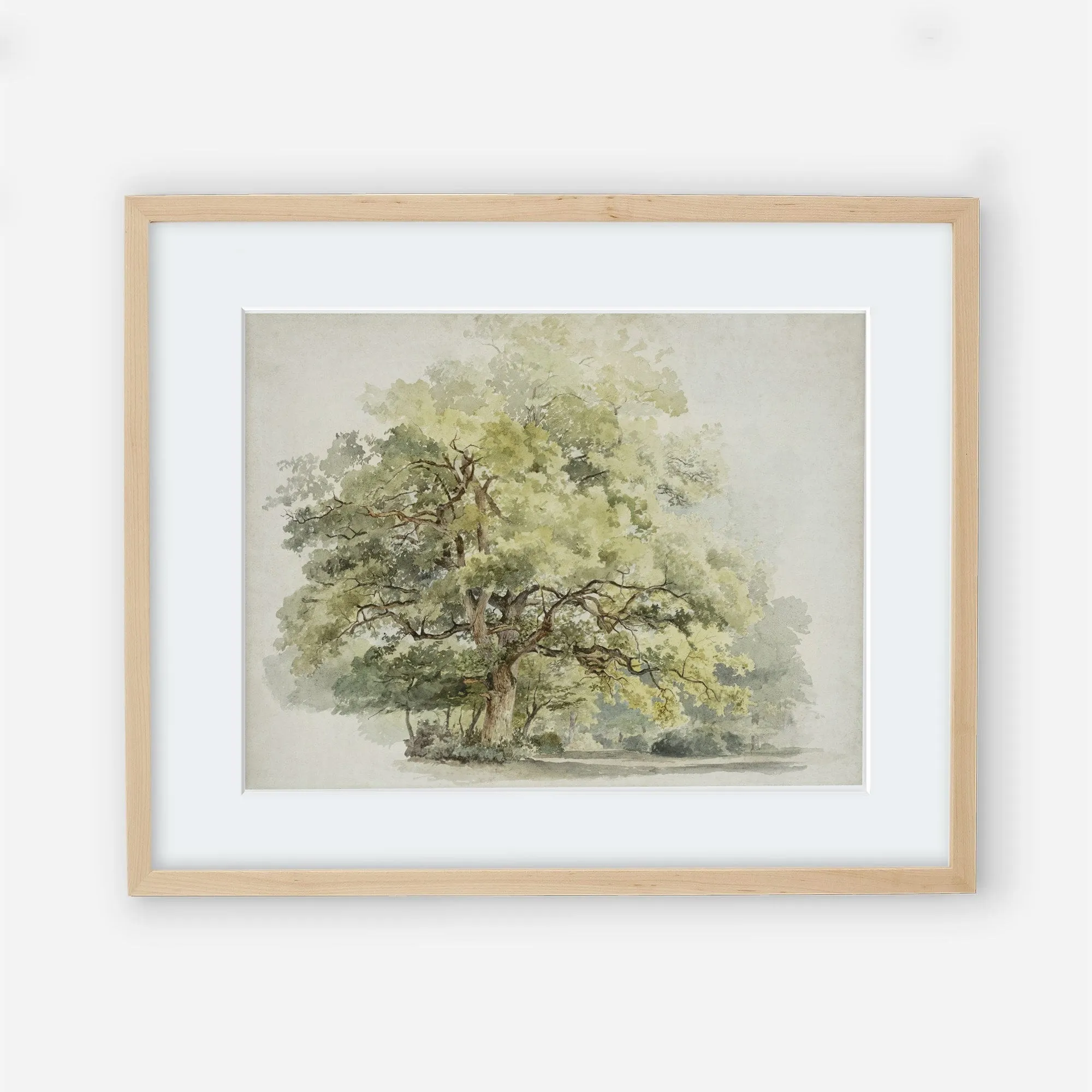 Vintage Tree Wall Art