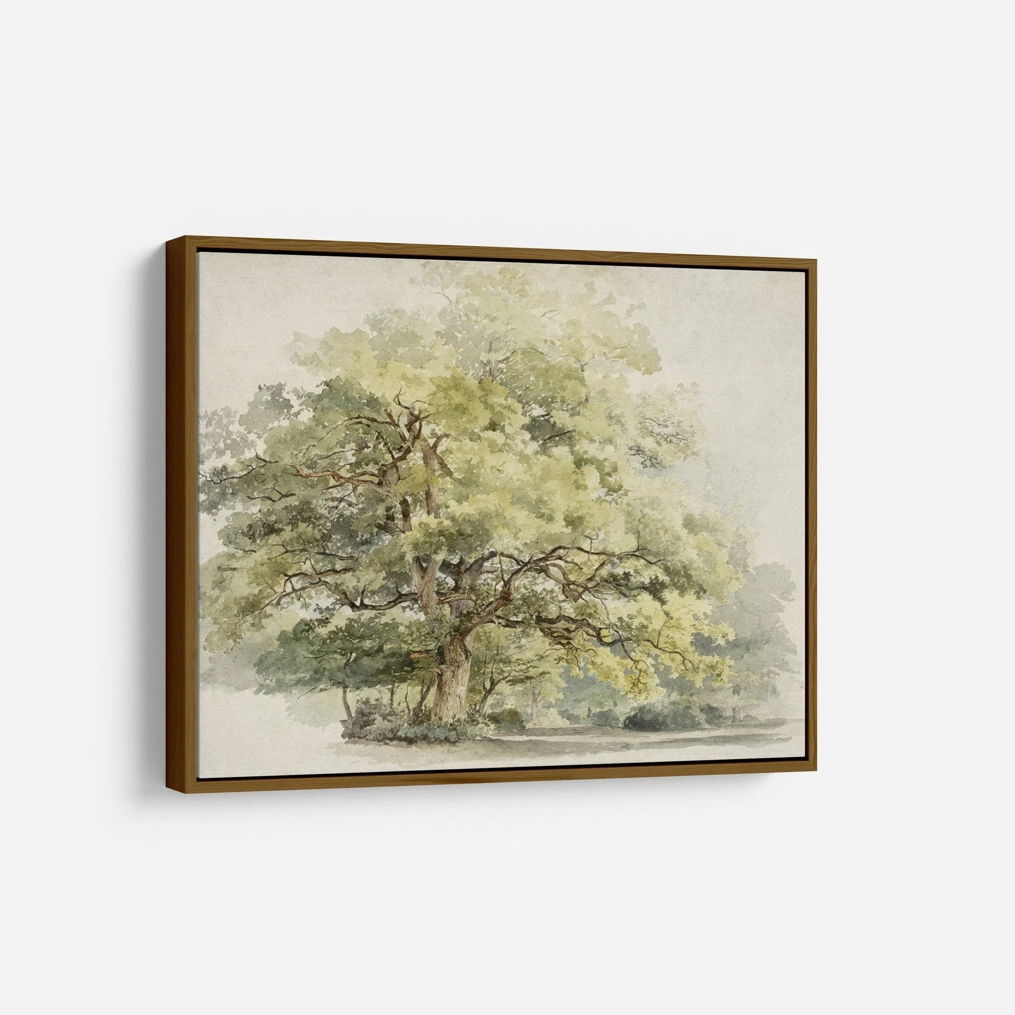 Vintage Tree Wall Art