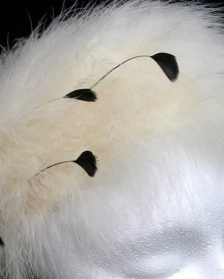 White Ostrich Feather